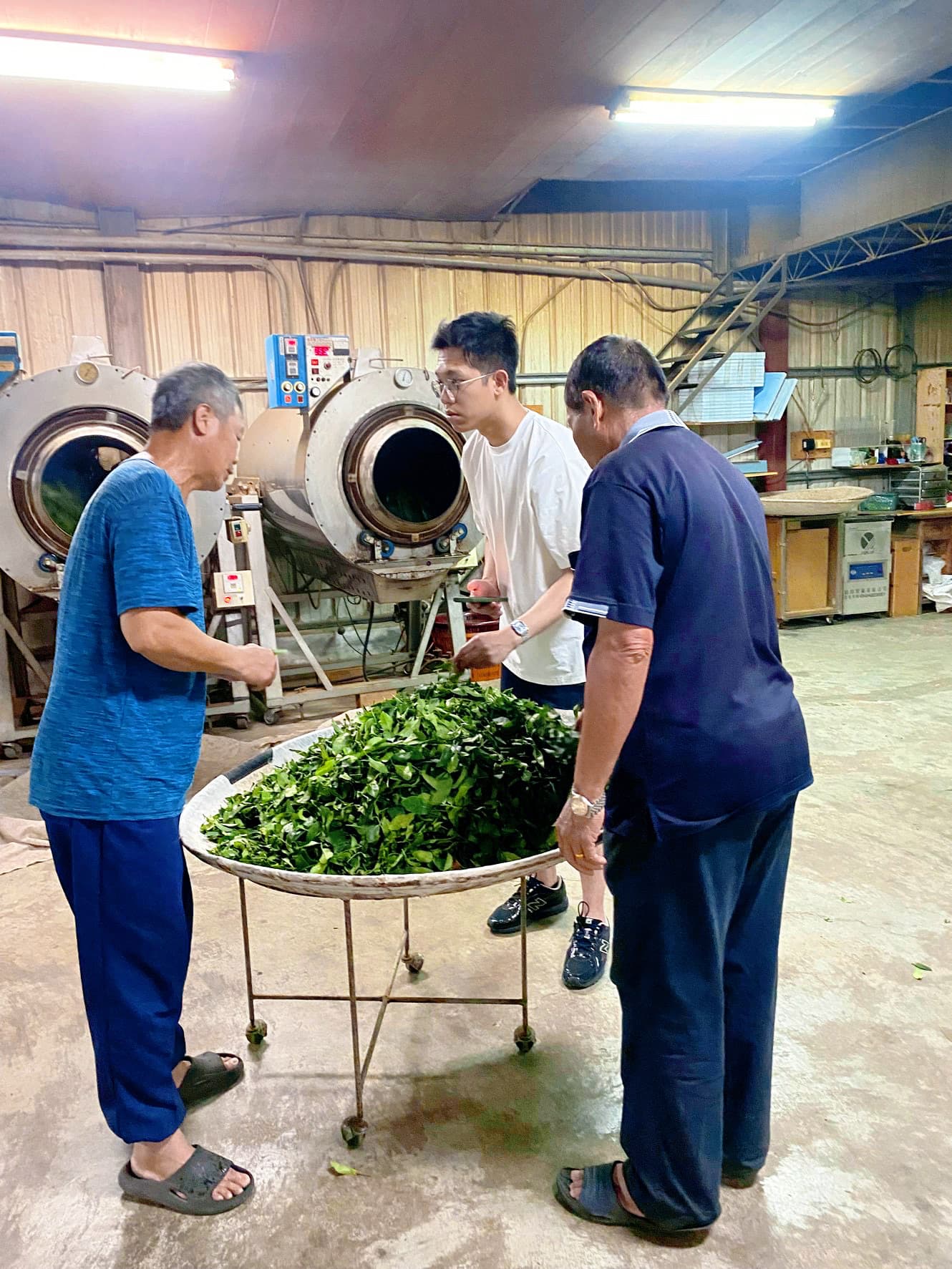 Inspecting fresh tea leaves beside the CO₂ extraction chamber, Nantou